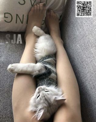 国产最新在线直播_高清神马影院手机在线